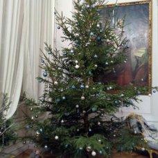 kouzlo adventu - Náměšť na Hané