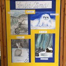 Výtvarná soutěž - Zima