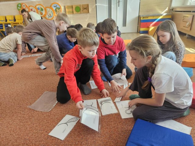 Vzdělávací program pro druháčky